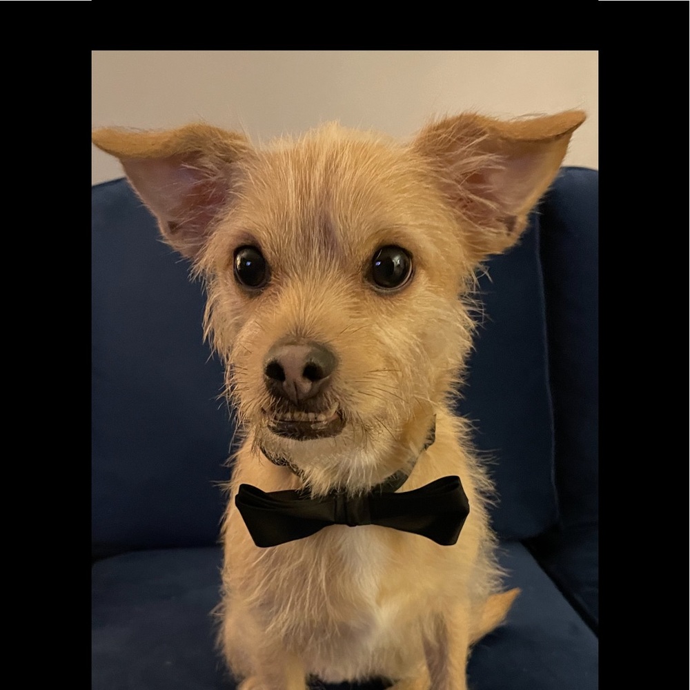 HANK WANTS TO OFFER YOU A DEAL! (1/2/2022-1/10/2022)
